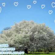 ヒメ日記 2025/04/09 13:59 投稿 ふぇあれでぃ Cawaiiハイ！スクールリターンズ