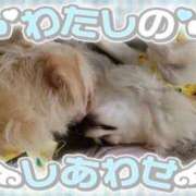 ヒメ日記 2025/05/20 14:30 投稿 ふぇあれでぃ Cawaiiハイ！スクールリターンズ