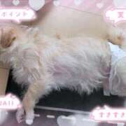 ヒメ日記 2025/05/21 12:58 投稿 ふぇあれでぃ Cawaiiハイ！スクールリターンズ