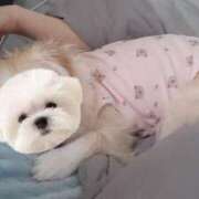 ヒメ日記 2025/05/26 14:01 投稿 ふぇあれでぃ Cawaiiハイ！スクールリターンズ