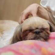 ヒメ日記 2025/06/27 14:30 投稿 ふぇあれでぃ Cawaiiハイ！スクールリターンズ