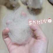 ヒメ日記 2025/06/28 11:41 投稿 ふぇあれでぃ Cawaiiハイ！スクールリターンズ