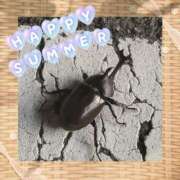 ヒメ日記 2025/07/20 11:59 投稿 ふぇあれでぃ Cawaiiハイ！スクールリターンズ