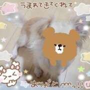 ヒメ日記 2025/08/07 13:52 投稿 ふぇあれでぃ Cawaiiハイ！スクールリターンズ