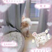 ヒメ日記 2025/09/18 14:48 投稿 ふぇあれでぃ Cawaiiハイ！スクールリターンズ