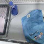 ヒメ日記 2025/09/21 11:59 投稿 ふぇあれでぃ Cawaiiハイ！スクールリターンズ