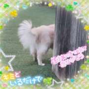 ヒメ日記 2025/09/24 11:26 投稿 ふぇあれでぃ Cawaiiハイ！スクールリターンズ