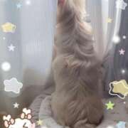 ヒメ日記 2025/10/18 11:42 投稿 ふぇあれでぃ Cawaiiハイ！スクールリターンズ