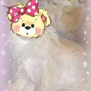 ヒメ日記 2025/11/08 11:38 投稿 ふぇあれでぃ Cawaiiハイ！スクールリターンズ