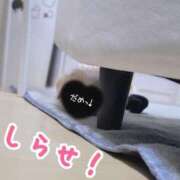 ヒメ日記 2026/01/21 15:06 投稿 ふぇあれでぃ Cawaiiハイ！スクールリターンズ