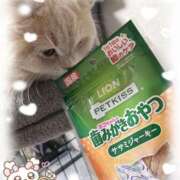 ヒメ日記 2026/02/16 13:42 投稿 ふぇあれでぃ Cawaiiハイ！スクールリターンズ