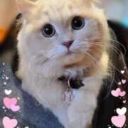 ヒメ日記 2026/02/22 16:02 投稿 ふぇあれでぃ Cawaiiハイ！スクールリターンズ