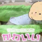 ふぇあれでぃ たいきん！！！ Cawaiiハイ！スクールリターンズ