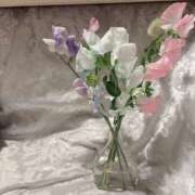 ヒメ日記 2025/02/21 20:50 投稿 矢澤 むぎ 横浜メロディー