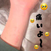 ヒメ日記 2025/03/17 22:40 投稿 矢澤 むぎ 横浜メロディー