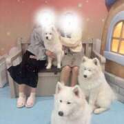 ヒメ日記 2025/03/29 22:10 投稿 矢澤 むぎ 横浜メロディー