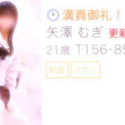 ヒメ日記 2025/05/12 22:10 投稿 矢澤 むぎ 横浜メロディー