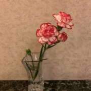 ヒメ日記 2025/06/11 06:06 投稿 蓮池 柚子 30代40代50代と遊ぶなら博多人妻専科24時