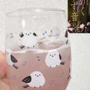 ヒメ日記 2025/06/12 19:35 投稿 蓮池 柚子 30代40代50代と遊ぶなら博多人妻専科24時