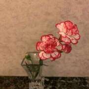 ヒメ日記 2025/06/20 12:17 投稿 蓮池 柚子 30代40代50代と遊ぶなら博多人妻専科24時