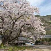 蓮池 柚子 あついね〜 30代40代50代と遊ぶなら博多人妻専科24時