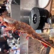 ヒメ日記 2025/12/13 19:12 投稿 せな ラブじゅばん