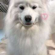 ヒメ日記 2026/03/19 18:30 投稿 せな ラブじゅばん