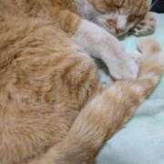 ヒメ日記 2025/02/06 20:21 投稿 柿田 鶯谷デッドボール