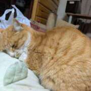 ヒメ日記 2025/02/08 12:11 投稿 柿田 鶯谷デッドボール