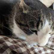 ヒメ日記 2025/02/17 12:57 投稿 柿田 鶯谷デッドボール