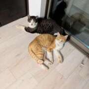 ヒメ日記 2025/03/09 10:41 投稿 柿田 鶯谷デッドボール