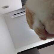 ヒメ日記 2025/06/06 16:52 投稿 柿田 鶯谷デッドボール