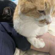 ヒメ日記 2025/06/08 10:56 投稿 柿田 鶯谷デッドボール