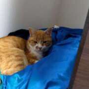 ヒメ日記 2025/06/08 13:21 投稿 柿田 鶯谷デッドボール