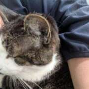 ヒメ日記 2025/06/13 17:08 投稿 柿田 鶯谷デッドボール