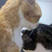 ヒメ日記 2025/07/11 20:09 投稿 柿田 鶯谷デッドボール