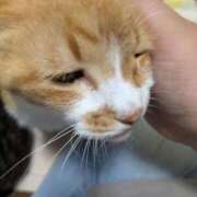 ヒメ日記 2025/08/28 13:49 投稿 柿田 鶯谷デッドボール