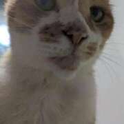 ヒメ日記 2025/09/03 22:22 投稿 柿田 鶯谷デッドボール