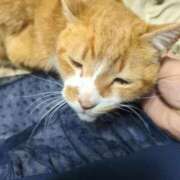 ヒメ日記 2025/12/18 15:42 投稿 柿田 鶯谷デッドボール