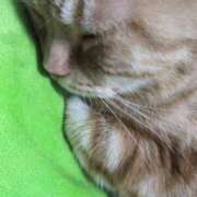 ヒメ日記 2025/12/21 15:09 投稿 柿田 鶯谷デッドボール