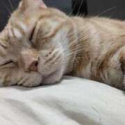 柿田 昨日はありがとうございました(ˆ. ̫ . ꜀ˆ) 鶯谷デッドボール