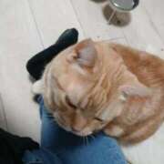 柿田 イベントやります(๑•̀ㅂ•́)و✧ 鶯谷デッドボール