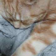 ヒメ日記 2026/02/28 14:09 投稿 柿田 鶯谷デッドボール