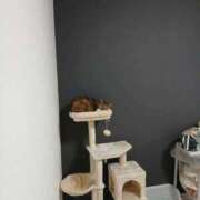 ヒメ日記 2026/02/28 21:10 投稿 柿田 鶯谷デッドボール