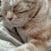 ヒメ日記 2026/03/01 20:27 投稿 柿田 鶯谷デッドボール