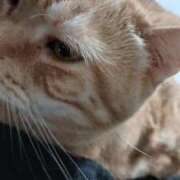 ヒメ日記 2026/03/04 12:08 投稿 柿田 鶯谷デッドボール