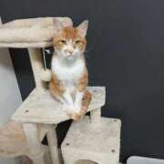 ヒメ日記 2026/03/04 16:29 投稿 柿田 鶯谷デッドボール