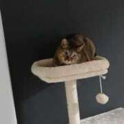 柿田 こんばんは〜 鶯谷デッドボール