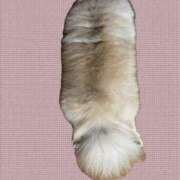 ヒメ日記 2025/03/19 19:57 投稿 深野 よみ Sクラス元キャバ嬢 ファーストクラス ルビー