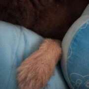 ヒメ日記 2025/03/30 22:53 投稿 深野 よみ Sクラス元キャバ嬢 ファーストクラス ルビー